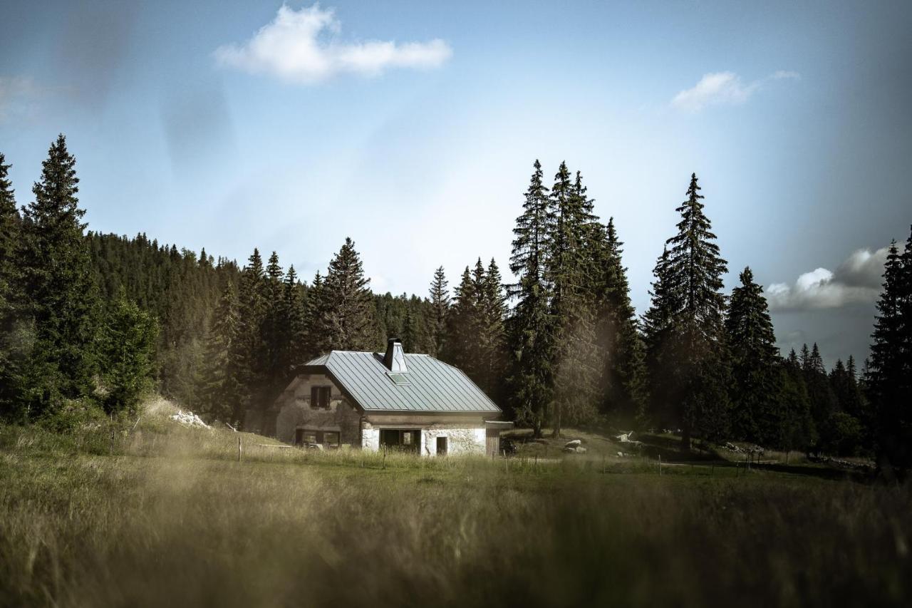 La Loge De La Dolarde - Chambre Nord-Est Hotel Prémanon Eksteriør billede