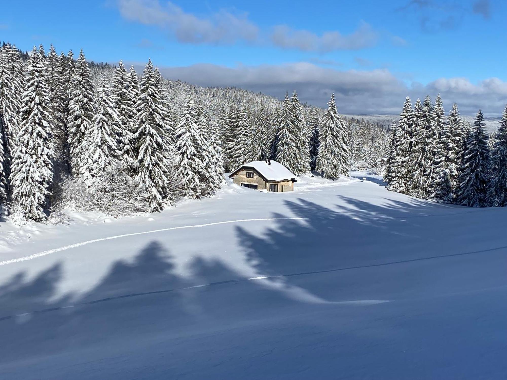 La Loge De La Dolarde - Chambre Nord-Est Hotel Prémanon Eksteriør billede